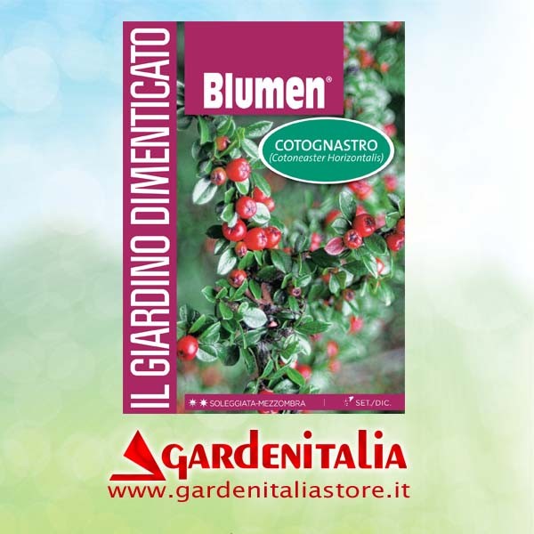 Keilriemen-Scheibe Ø 120 mm Innenverzahn für P70 (M250) EVO Scheibenmäher Eurosystems