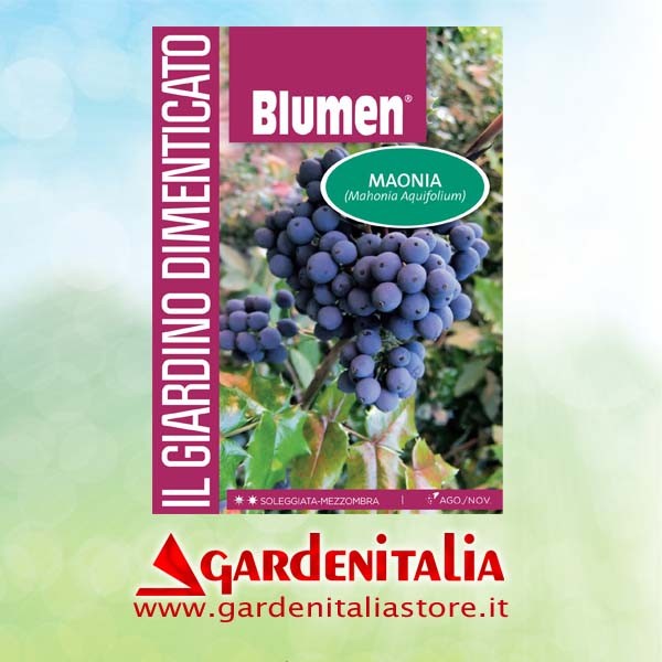 Keilriemen-Scheibe Ø 120 mm Innenverzahn für P70 (M250) EVO Scheibenmäher Eurosystems