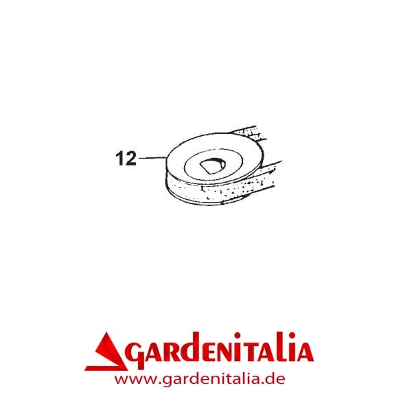 Keilriemenscheibe für P55 (M220) Eurosystems
