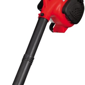 Keilriemen für Gartenfräse P55 (M220) Eurosystems