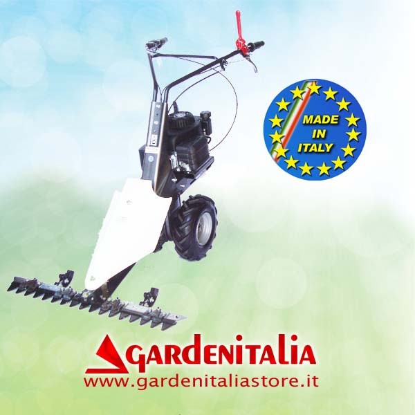 Keilriemenscheibe für LA ZAPPA (H90) Motorhacke Eurosystems