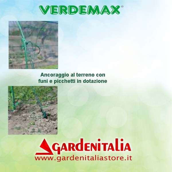 Fluegelmutter für Z2 (H95) Motorhacke Eurosystems